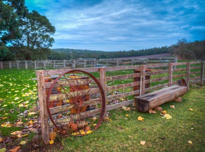 Bed and Breakfast Dingup House Manjimup Exteriér fotografie