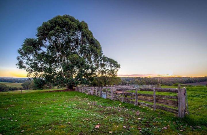 Bed and Breakfast Dingup House Manjimup Exteriér fotografie