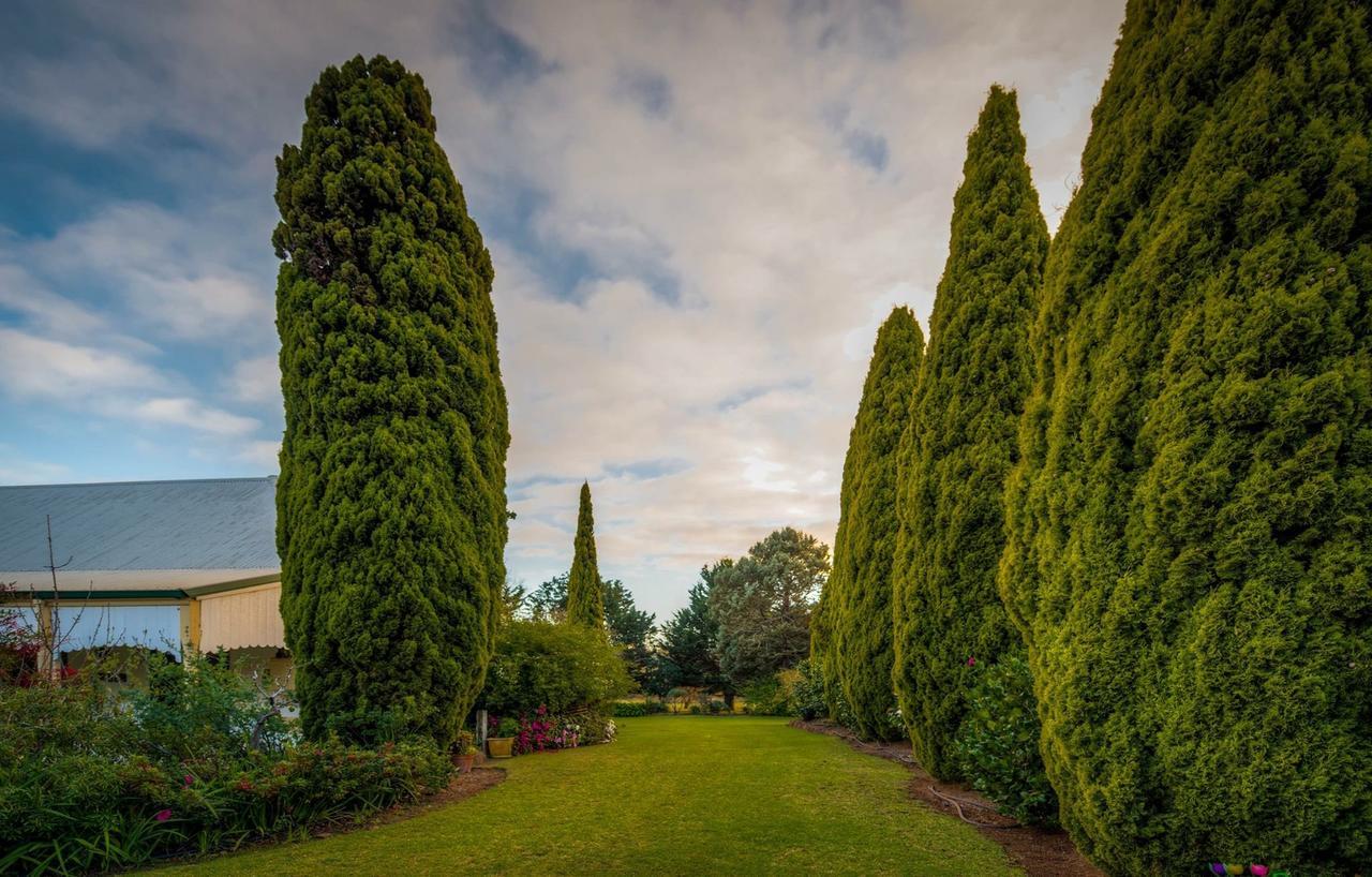 Bed and Breakfast Dingup House Manjimup Exteriér fotografie