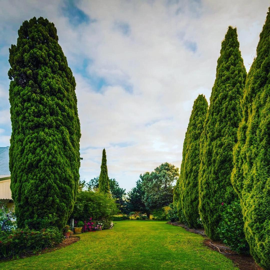 Bed and Breakfast Dingup House Manjimup Exteriér fotografie